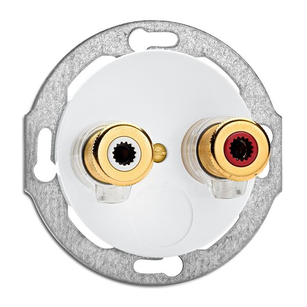SPEAKER WALL SOCKET WBT NEXTGEN™