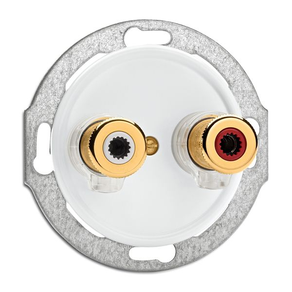 SPEAKER WALL SOCKET WBT NEXTGEN™ pro skleněnou krytku